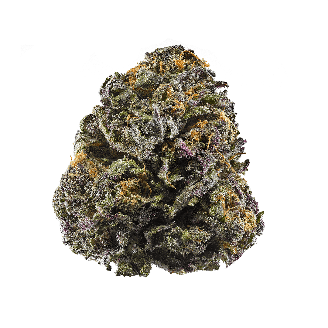 Purple Haze BudPost